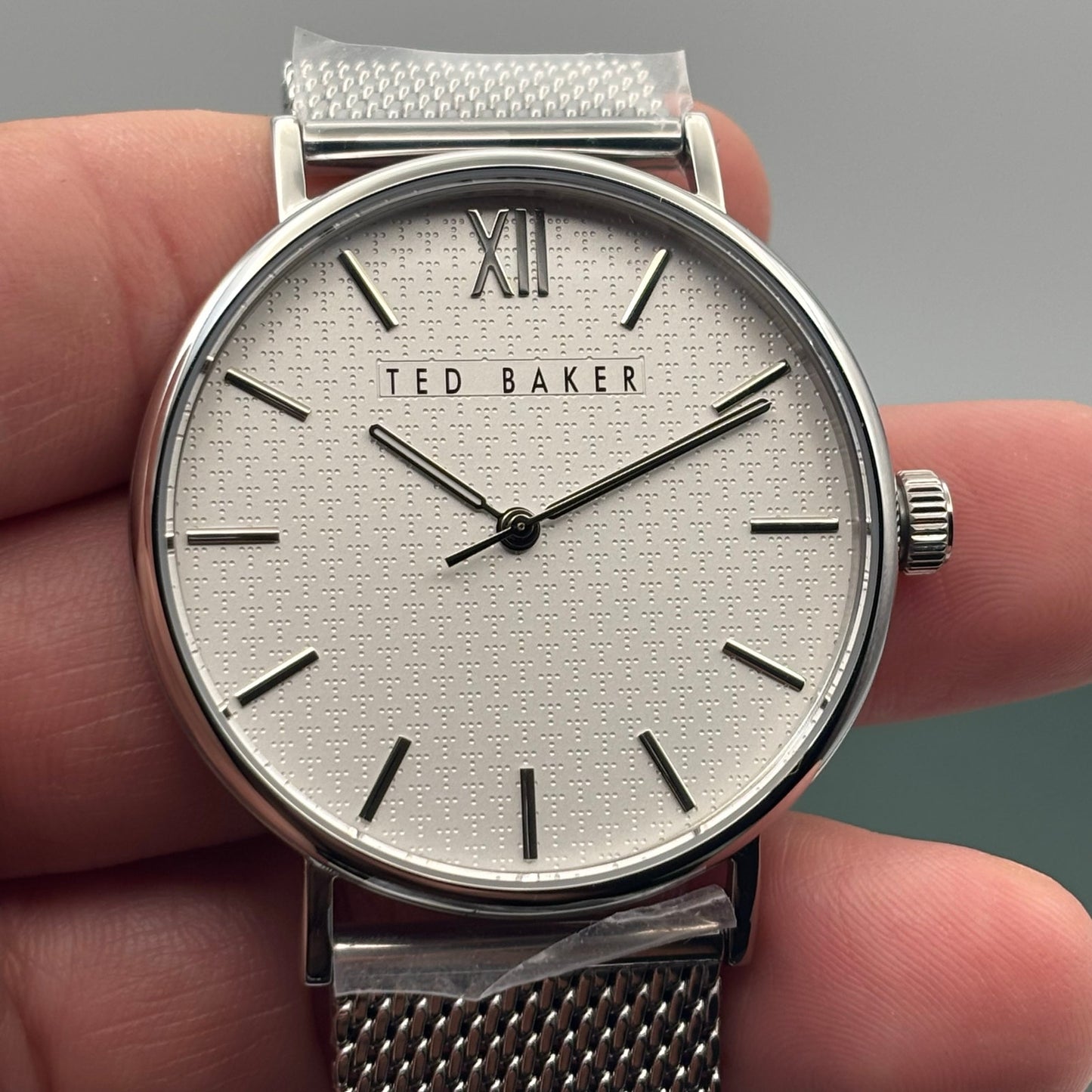 Ted Baker Phylipa BKPPGS217 Mens 43mm Silver Mesh White Dial Quartz. NIBWT