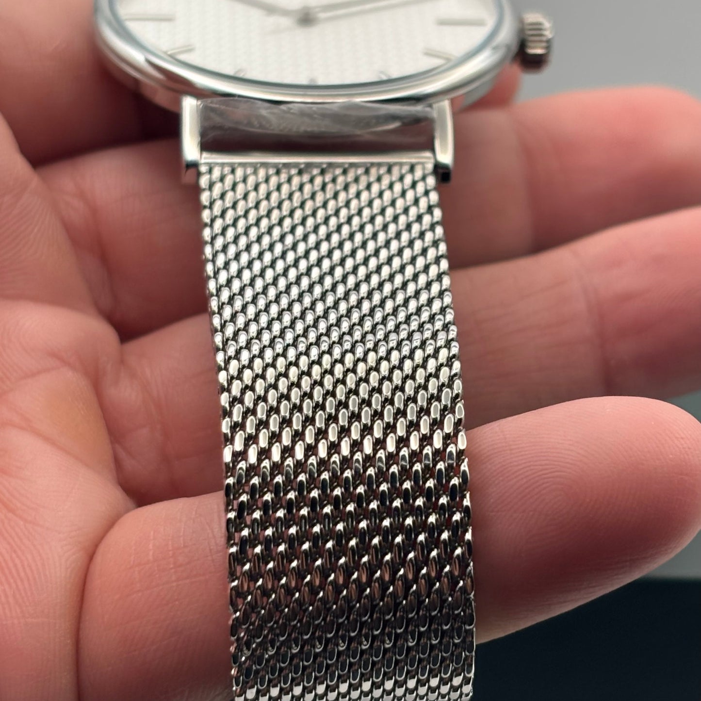 Ted Baker Phylipa BKPPGS217 Mens 43mm Silver Mesh White Dial Quartz. NIBWT