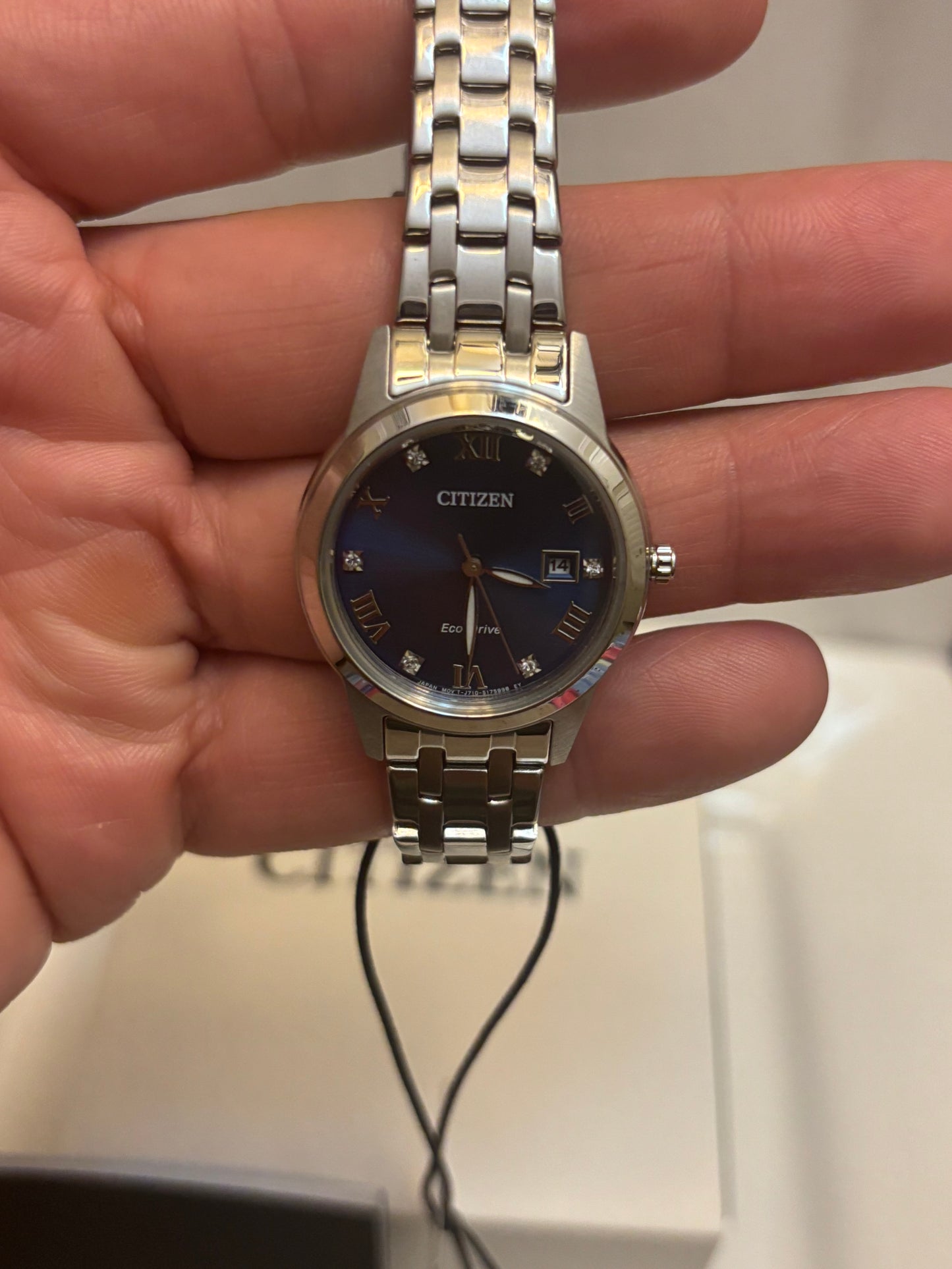 Citizen Eco-Drive FE1240-57L Women’s Classic Blue Dial Stainless Steel Watch