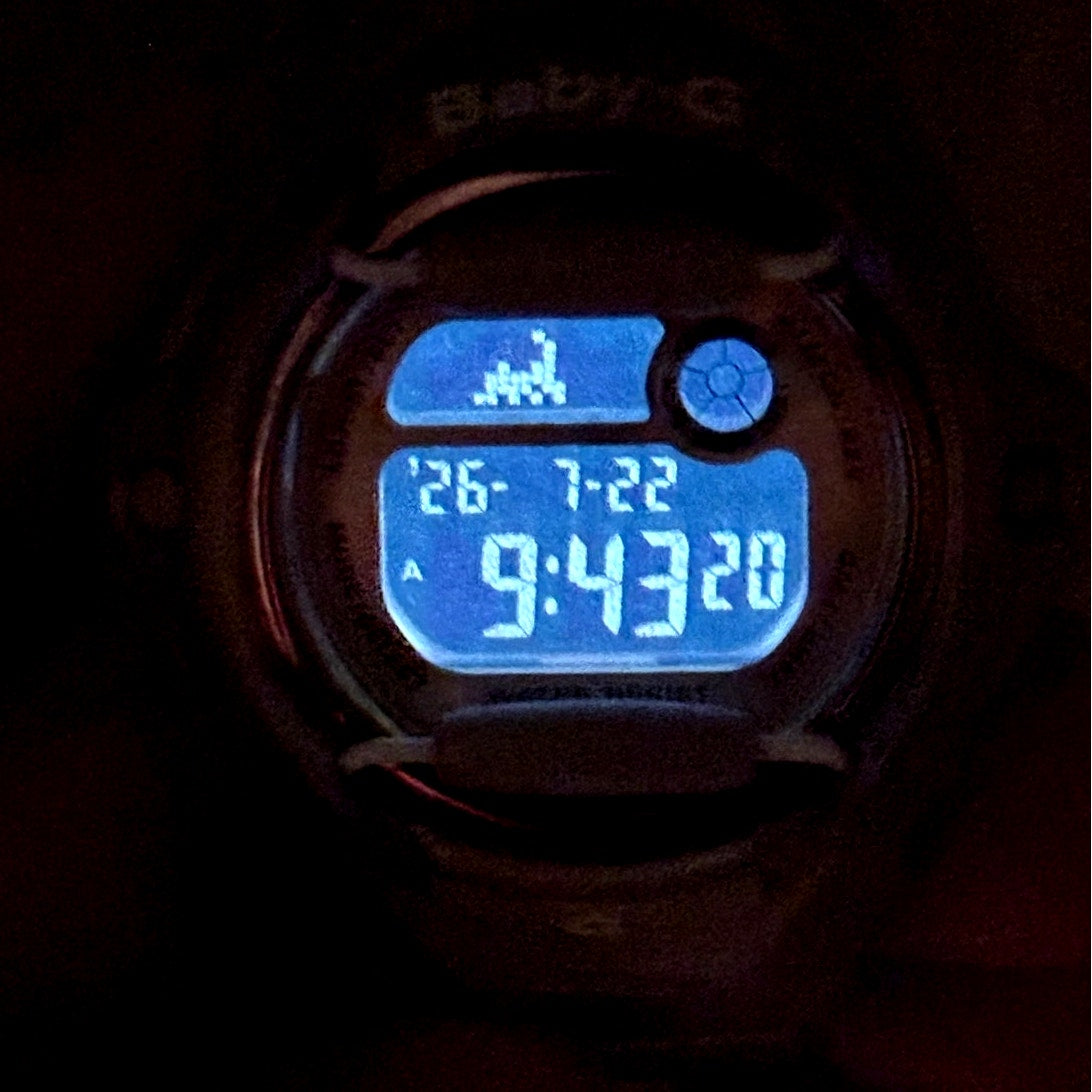 Casio Baby-G BG169G-4 Bronze Rose Gold Digital Women's Watch NIB Discontinued