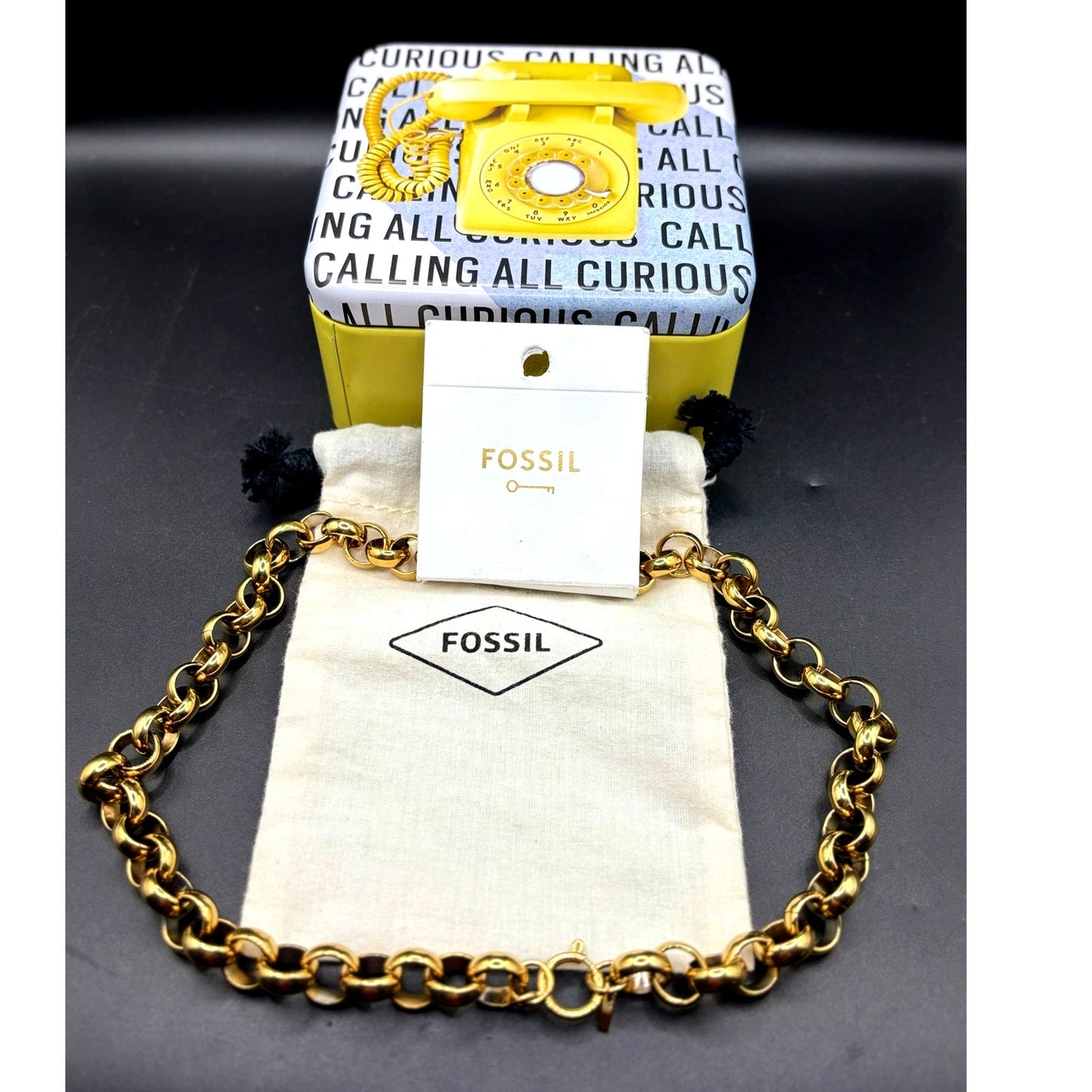 Fossil Women’s Archival Bold Links Chain Necklace JOF01105710 NIBWT