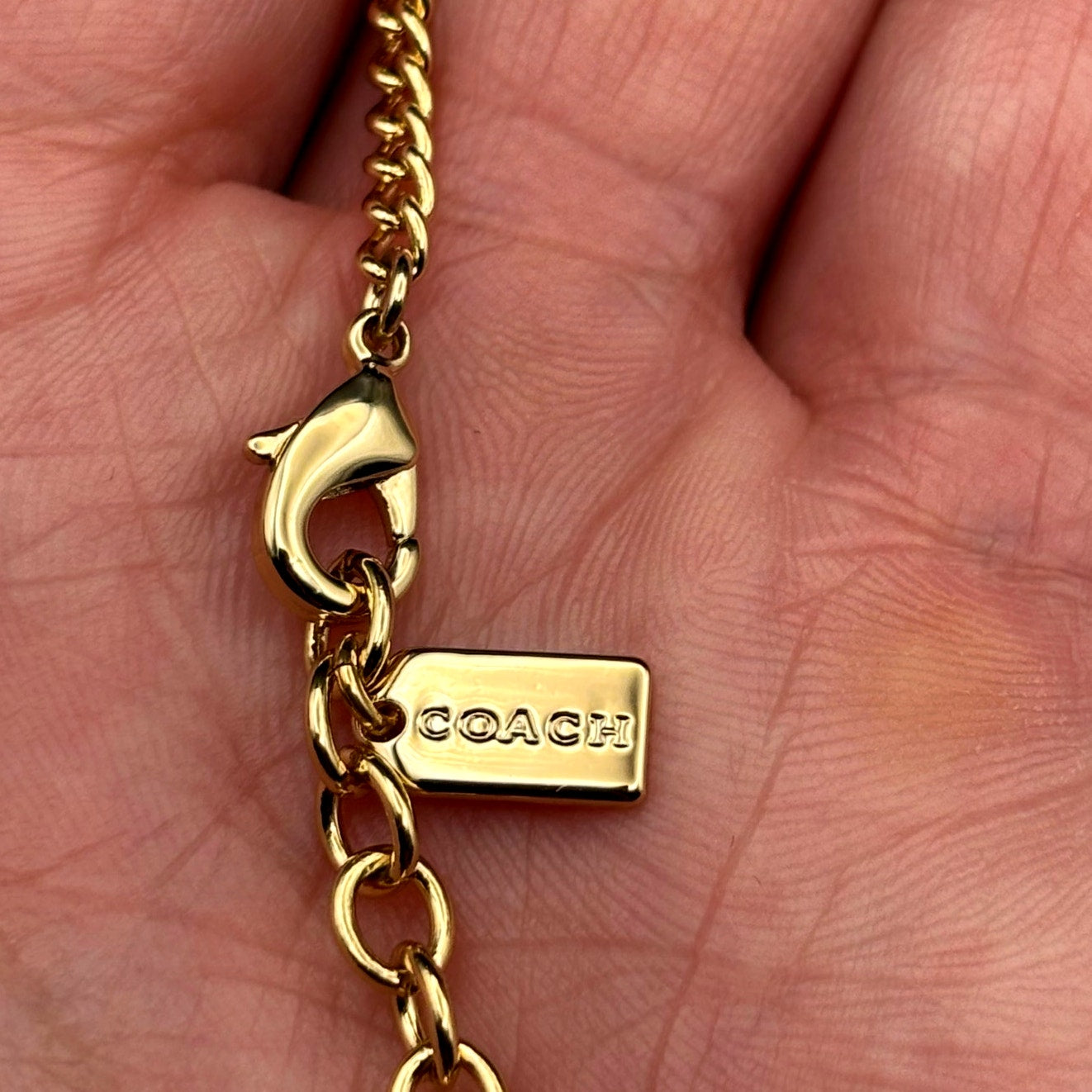 Coach x Observed By Us Charm Necklace Strawberry Heart Gold Tone NIB